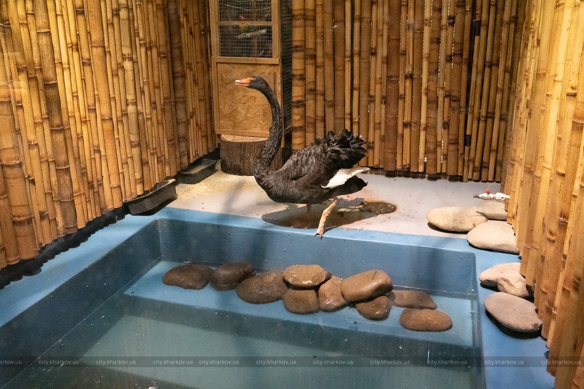 Фото: facebook.com/kharkovgovernment