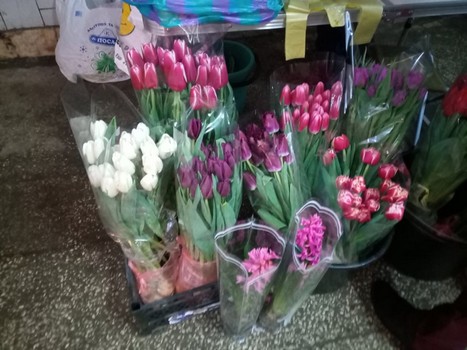 Тюльпаны и мимозы: почем продают цветы к 8 марта уличные торговцы в Харькове фото 5 4
