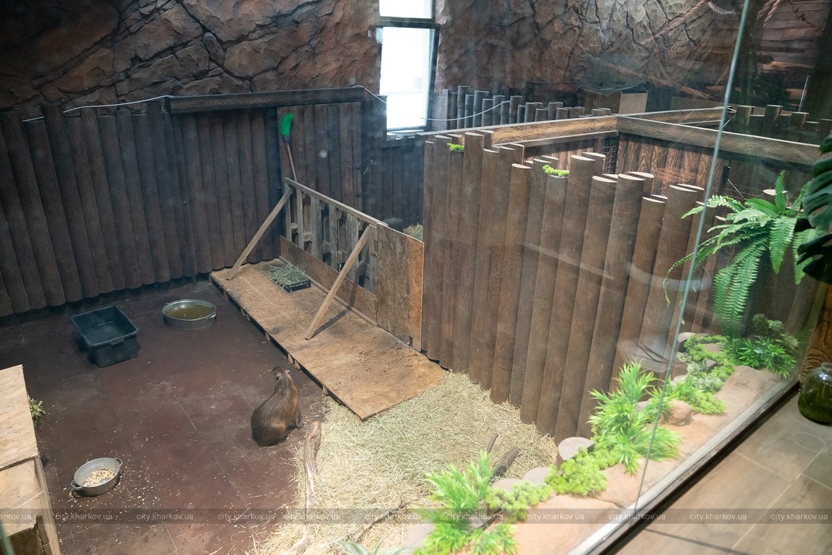 Фото: facebook.com/kharkovgovernment