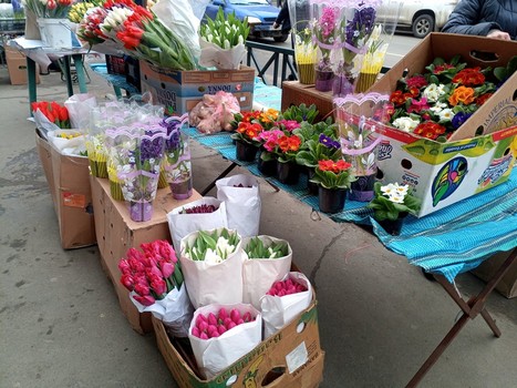 Тюльпаны и мимозы: почем продают цветы к 8 марта уличные торговцы в Харькове фото 6 5