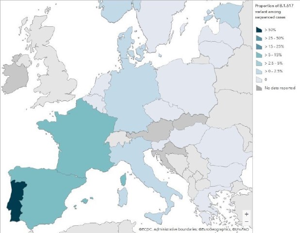 Назвали дату: индийский штамм может спровоцировать в Украине новую волну коронавируса фото 8 7