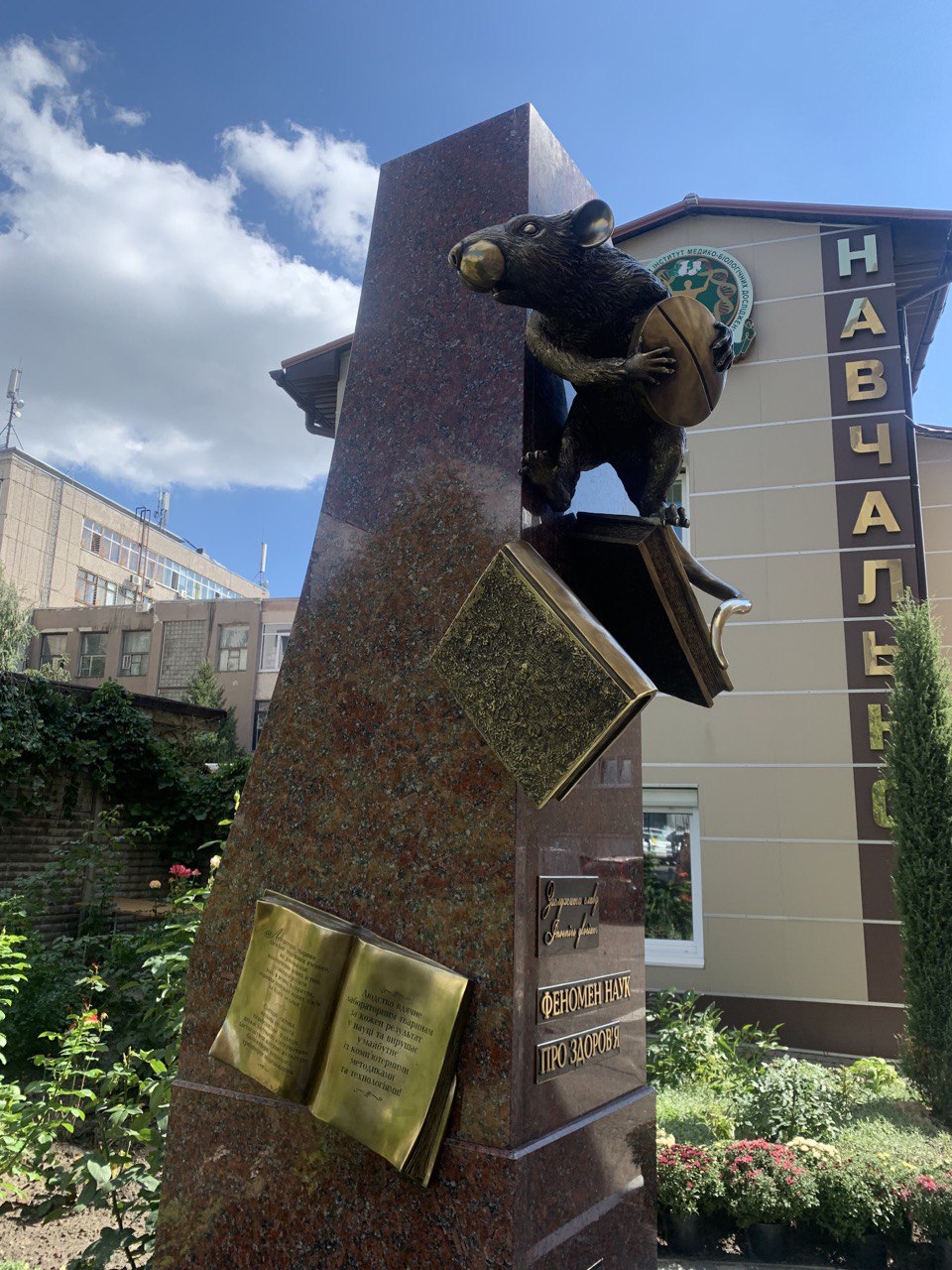 Из бронзы и с таблеткой: в Харькове установили памятник крысе фото 3 2