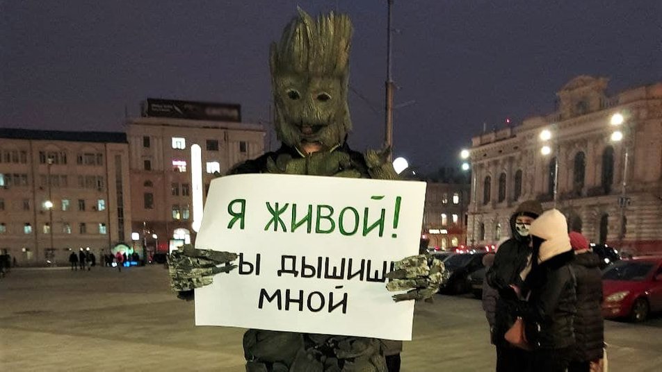 Пни и зажженные лампадки: в центре Харькова &mdash; эко-акция против вырубки деревьев.