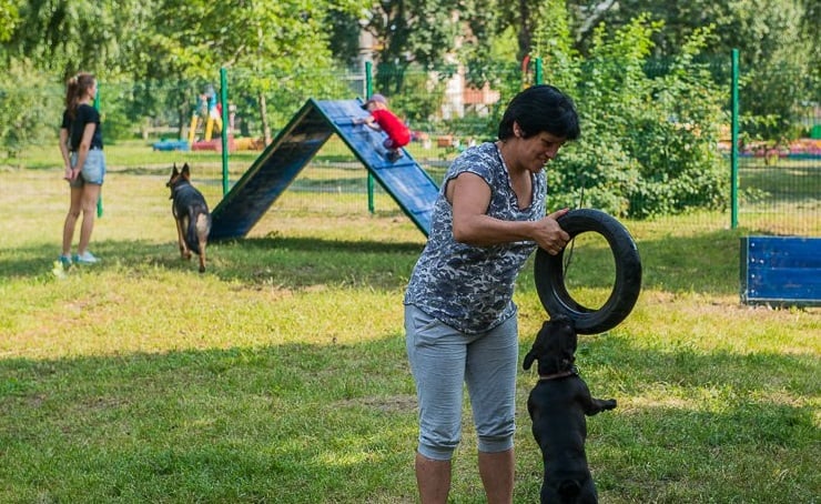 Смотри адреса: где в Харькове есть площадки для выгула и дрессировки собак фото 2 1