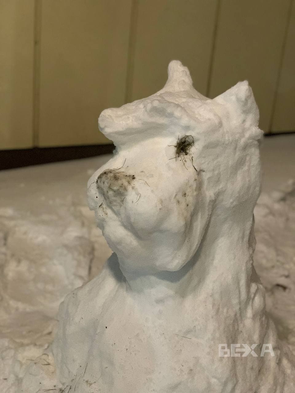 Первый снегопад: в Харькове массово лепят снежные скульптуры.