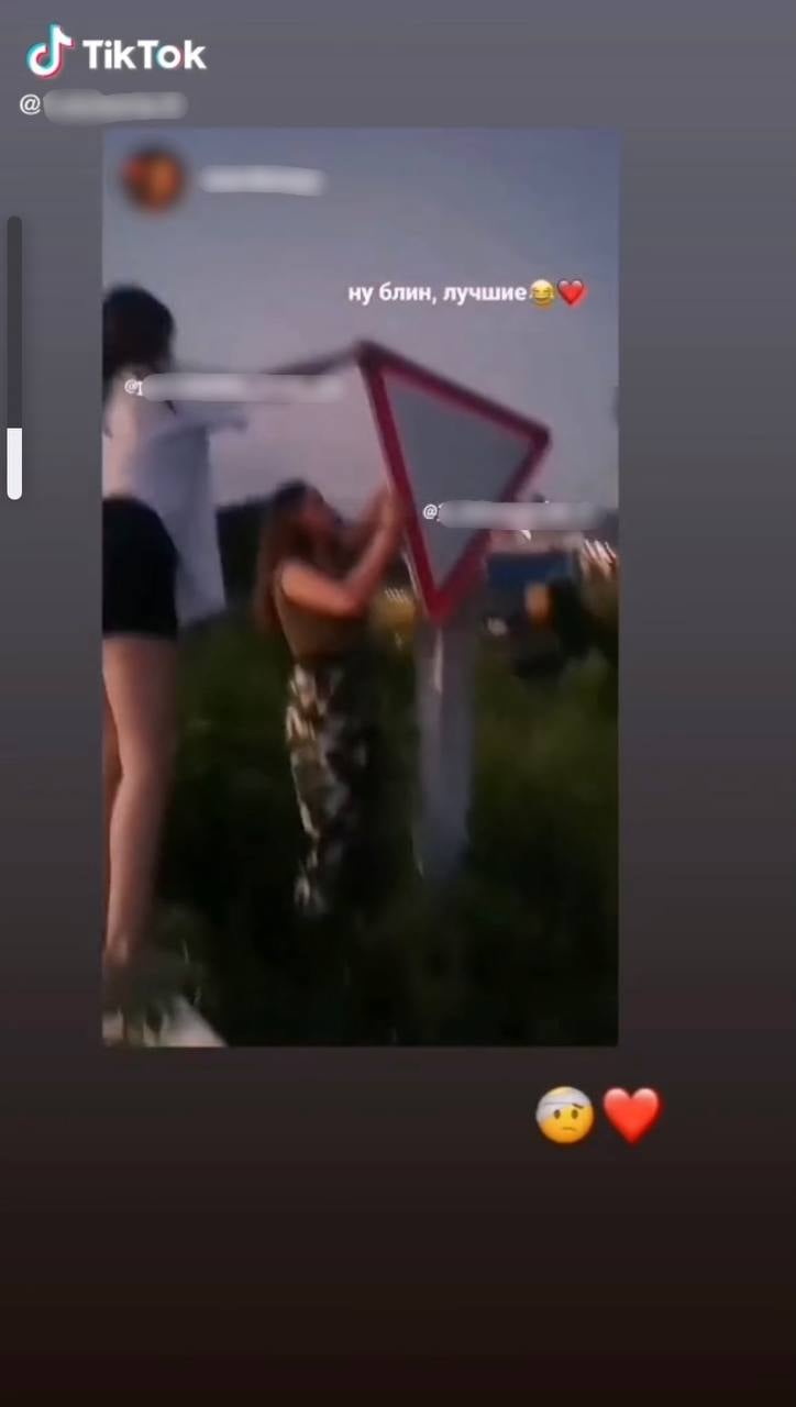 Старались для Tik Tok: под Харьковом школьницы сломали дорожный знак фото 1