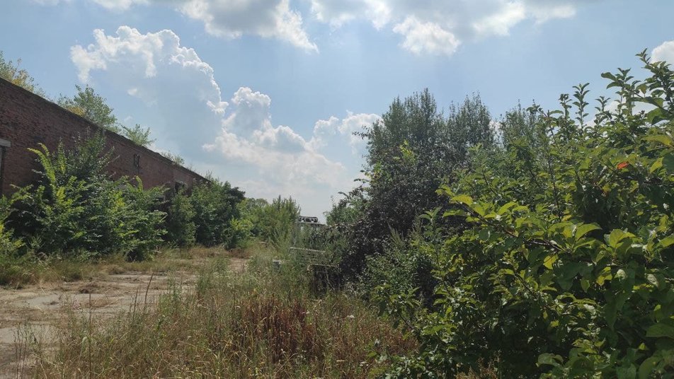 Фото: Суспільне