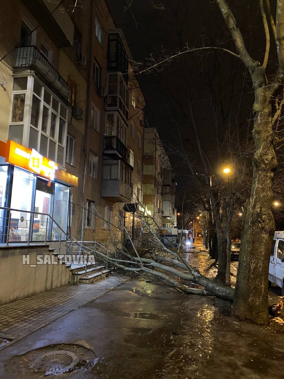 Сильный ветер повалил деревья в трех районах Харькова.