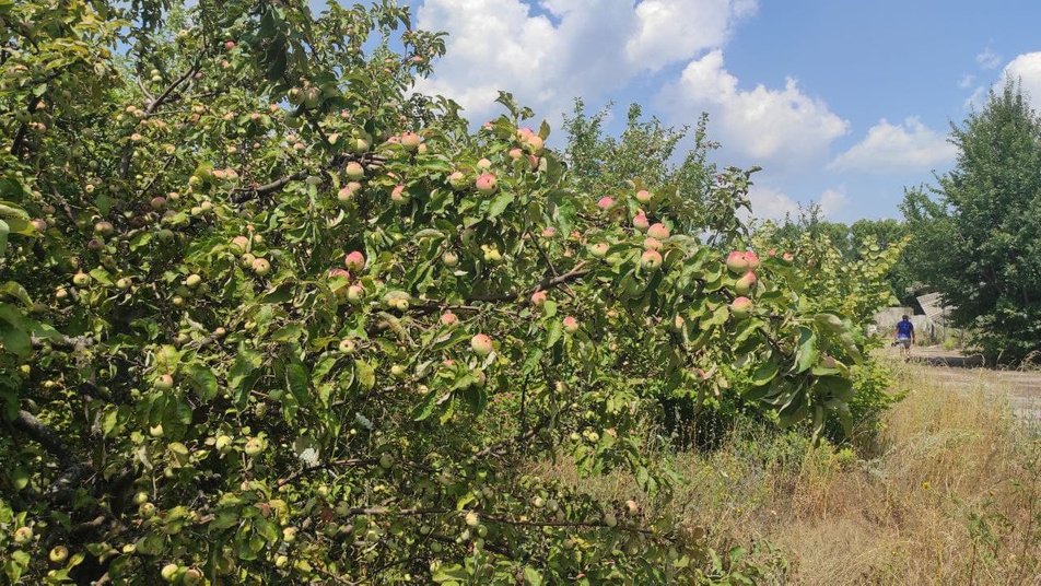 Фото: Суспільне
