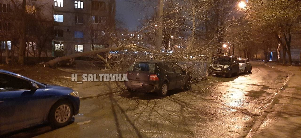 Сильный ветер повалил деревья в трех районах Харькова.