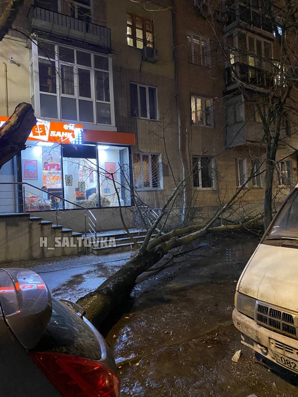 Сильный ветер повалил деревья в трех районах Харькова.