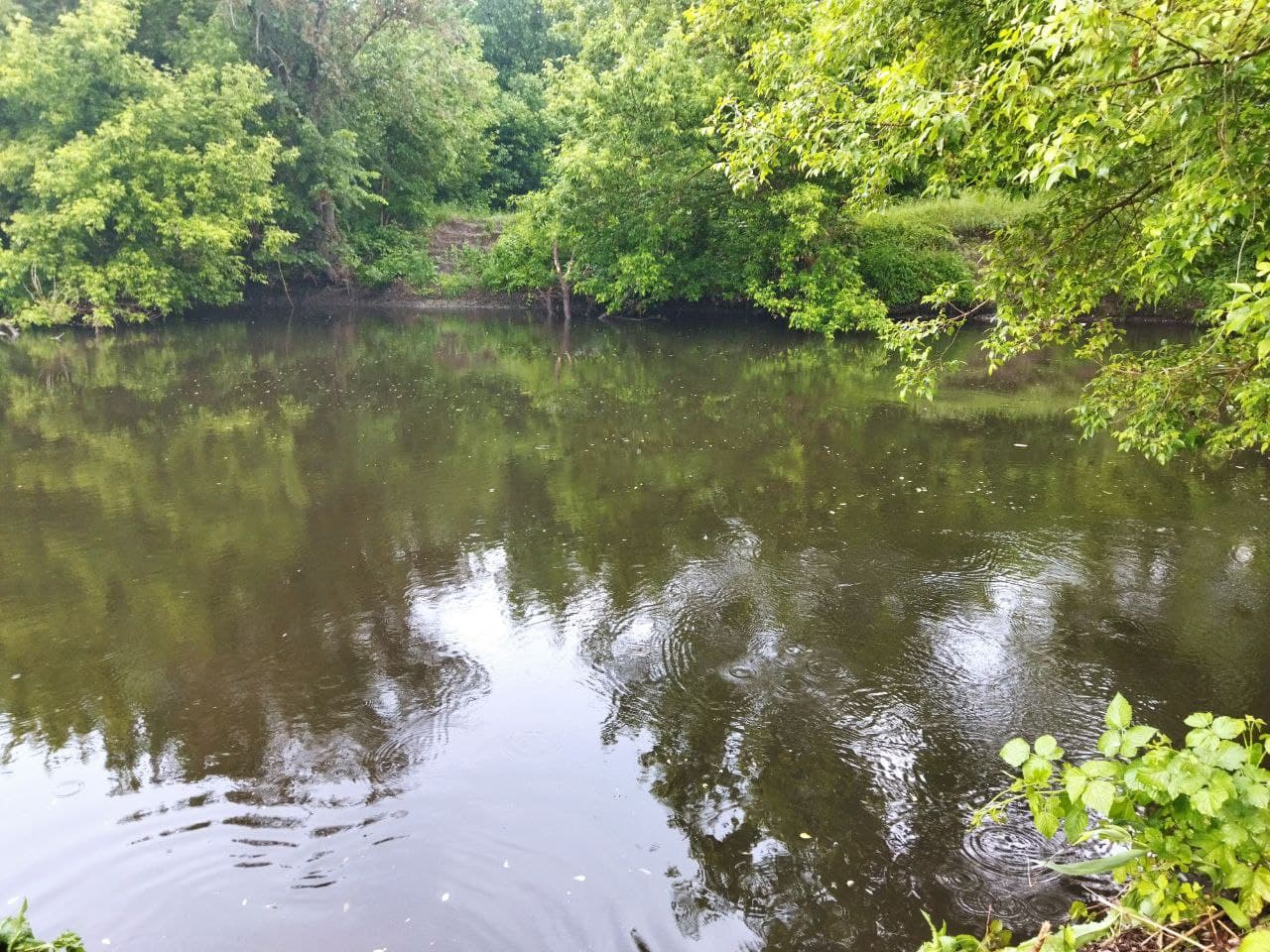 Более 20 тонн отходов: харьковчане снова очищали речку Уды от мусора фото 16 15