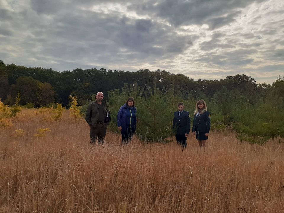 Заготовлено 6550 деревьев. Фото ГП "Октябрьское лесное хозяйство"