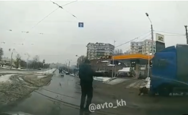 Фото: скриншот видео @avto_kh