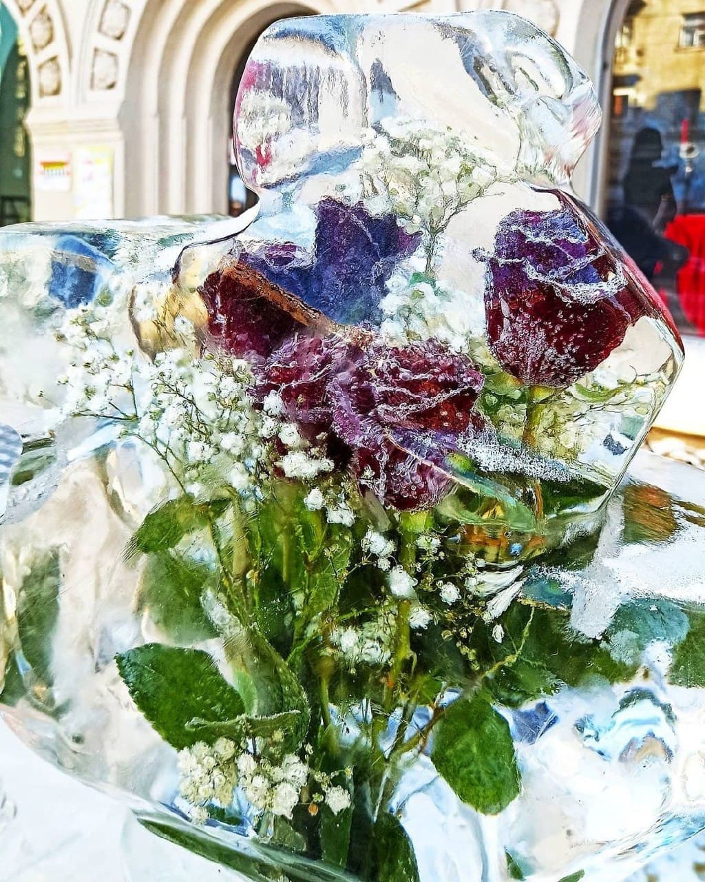 Фото:  @vitaliybelichko