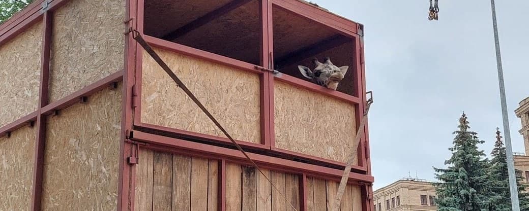 Фото: Суспільне