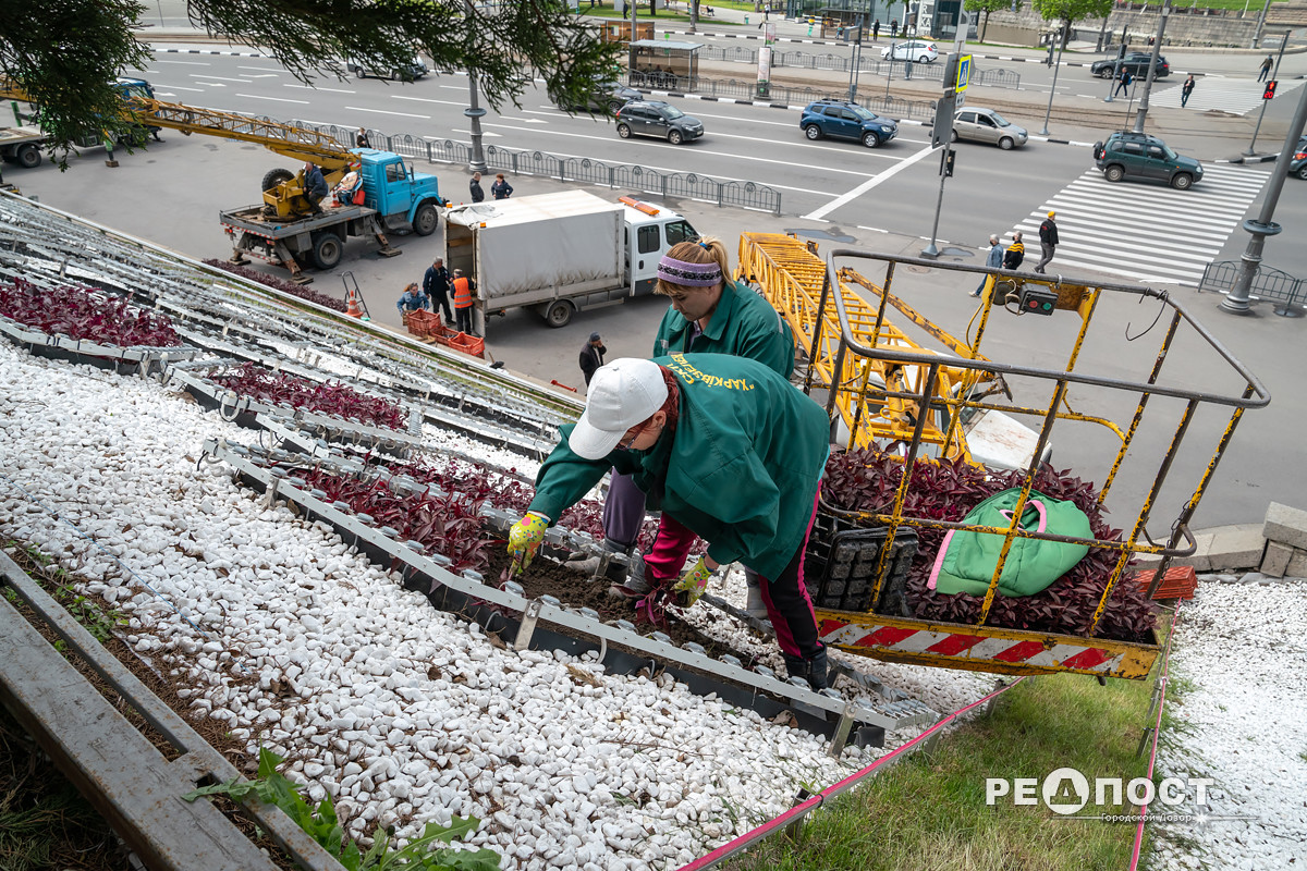 Фото: Василий Голосный