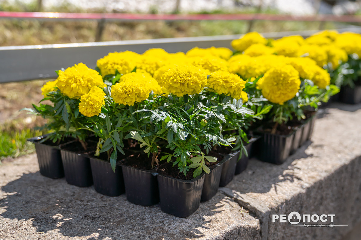 Фото: Василий Голосный