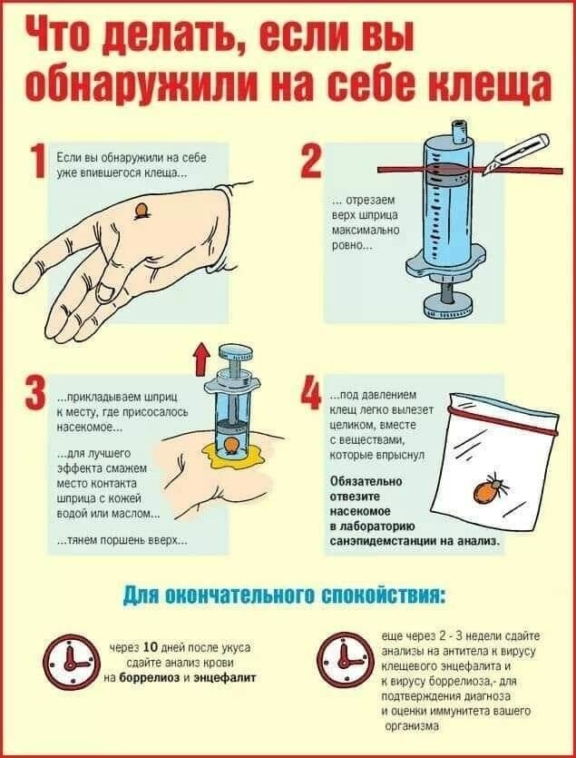 Инфографика: Игорь Игорро