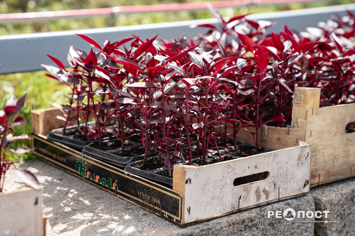 Фото: Василий Голосный