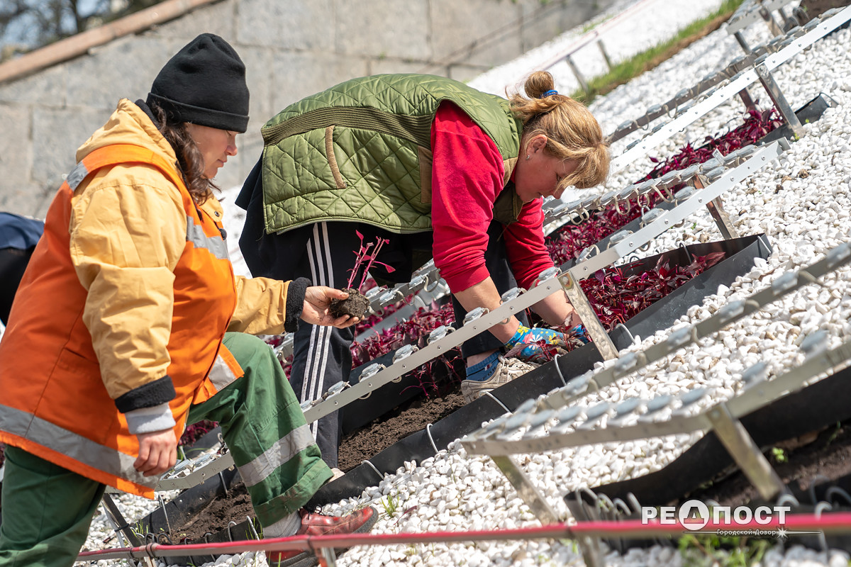 Фото: Василий Голосный