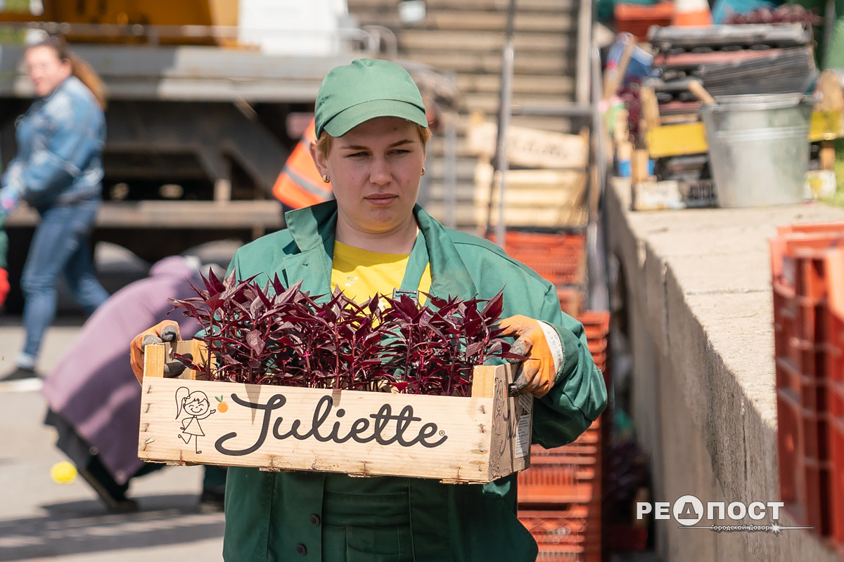 Фото: Василий Голосный