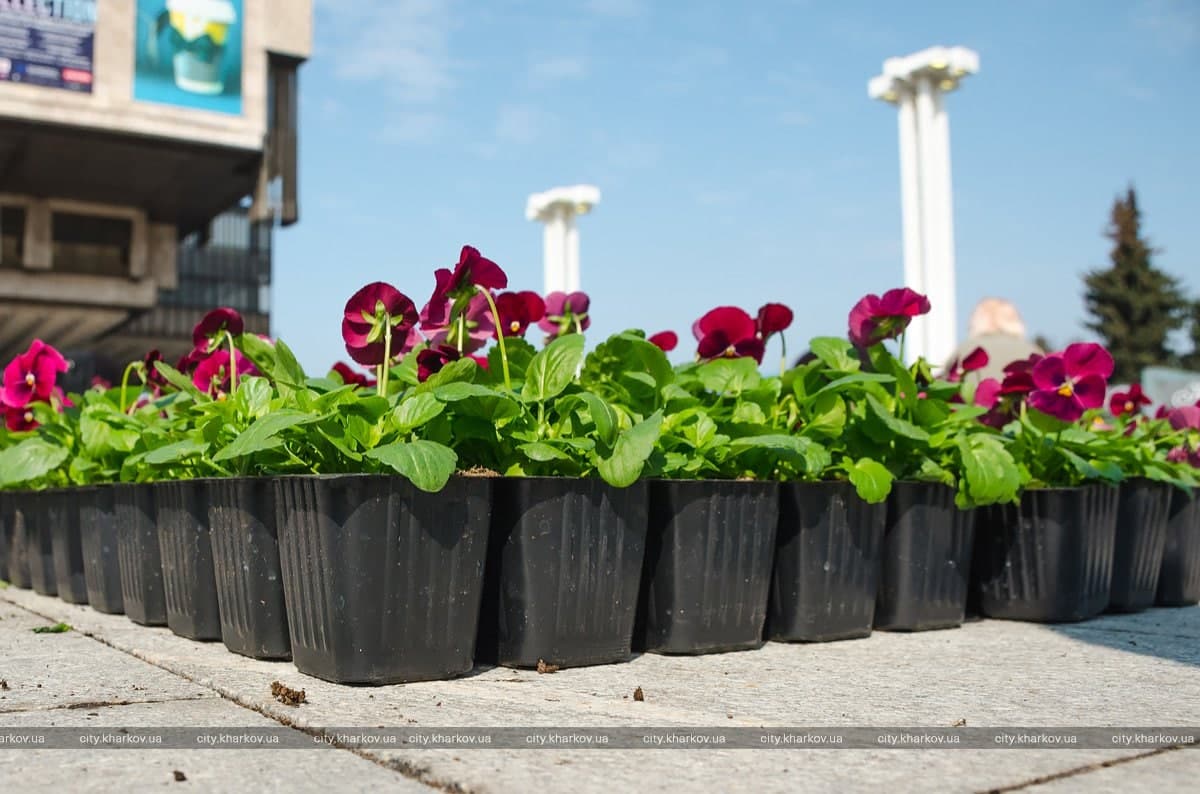 Фото: city.kharkov.ua