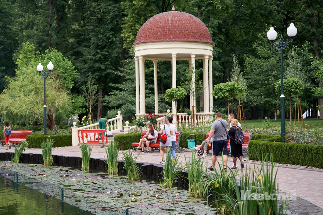 Фотофакт: в парке Горького распустились лотосы фото 5 4