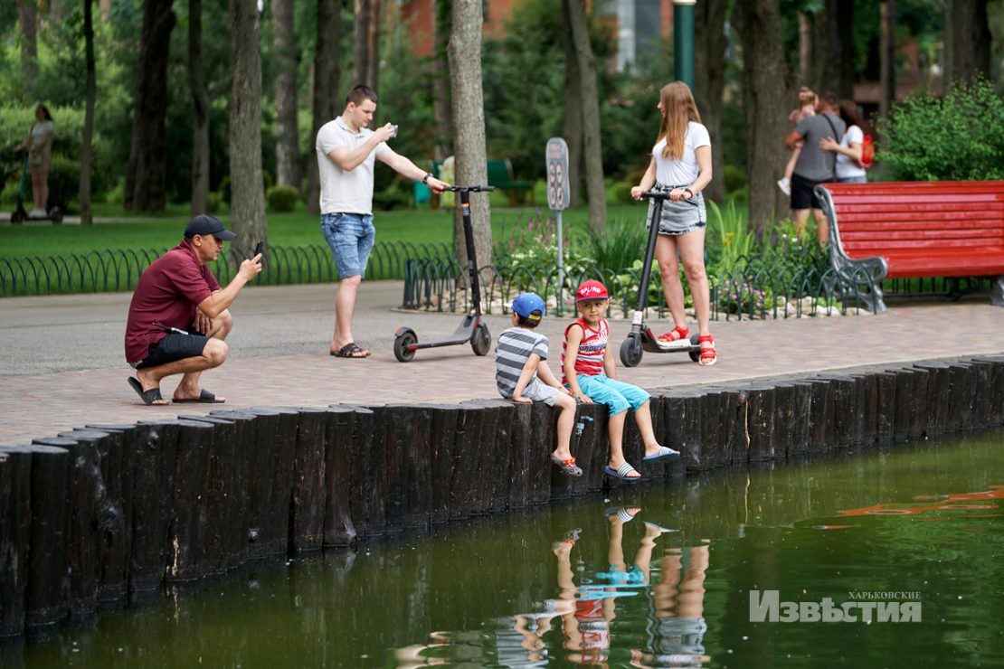 Фотофакт: в парке Горького распустились лотосы фото 6 5