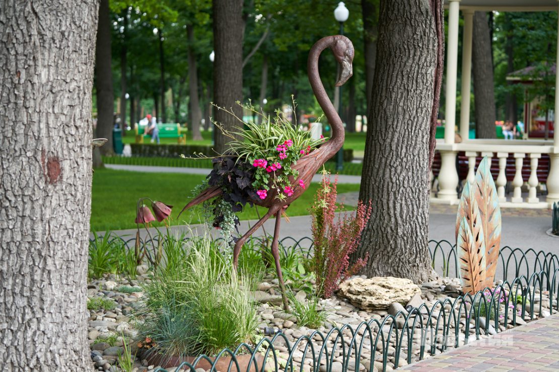 Фотофакт: в парке Горького распустились лотосы фото 7 6