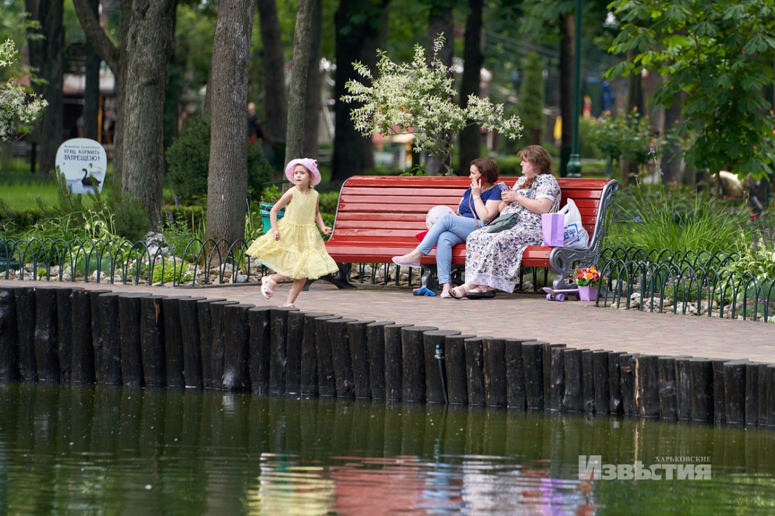 Фотофакт: в парке Горького распустились лотосы фото 8 7