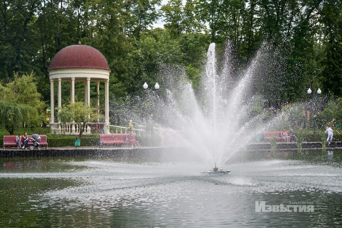 Фотофакт: в парке Горького распустились лотосы фото 11 10