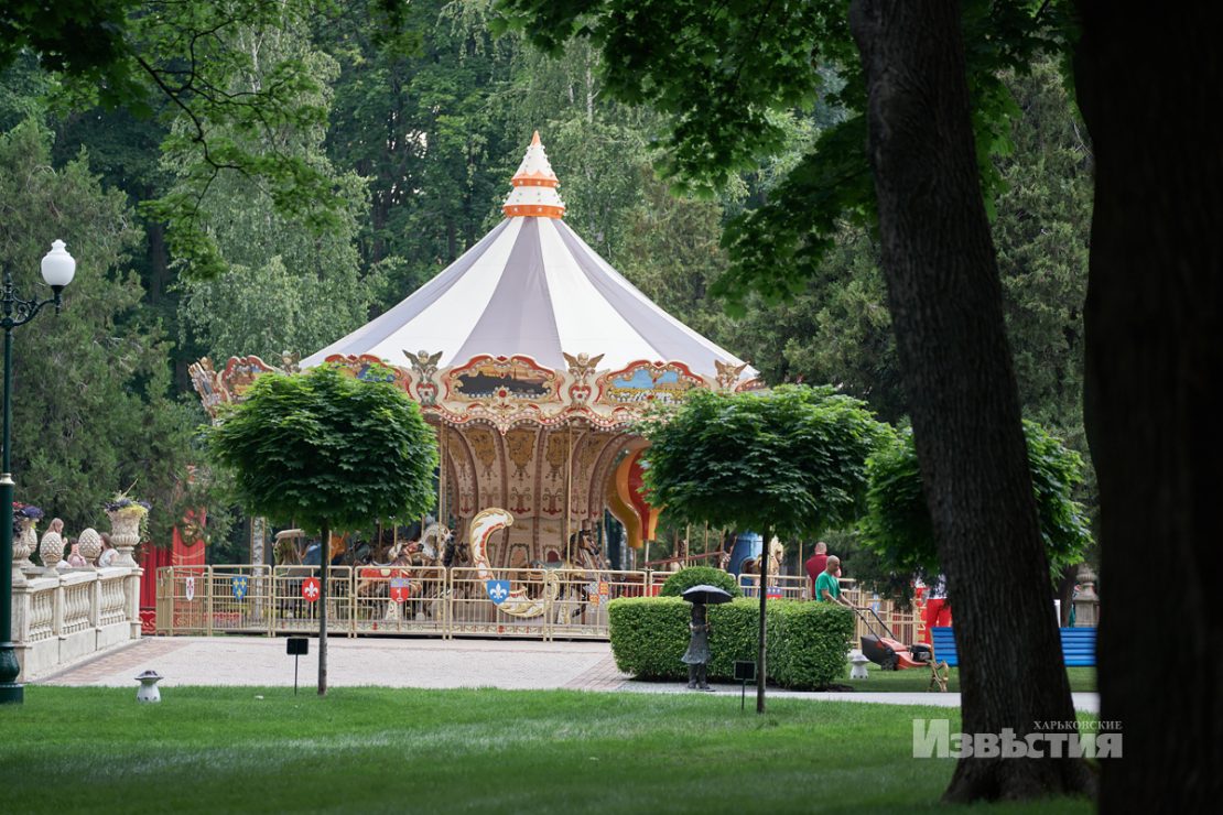 Фотофакт: в парке Горького распустились лотосы фото 12 11