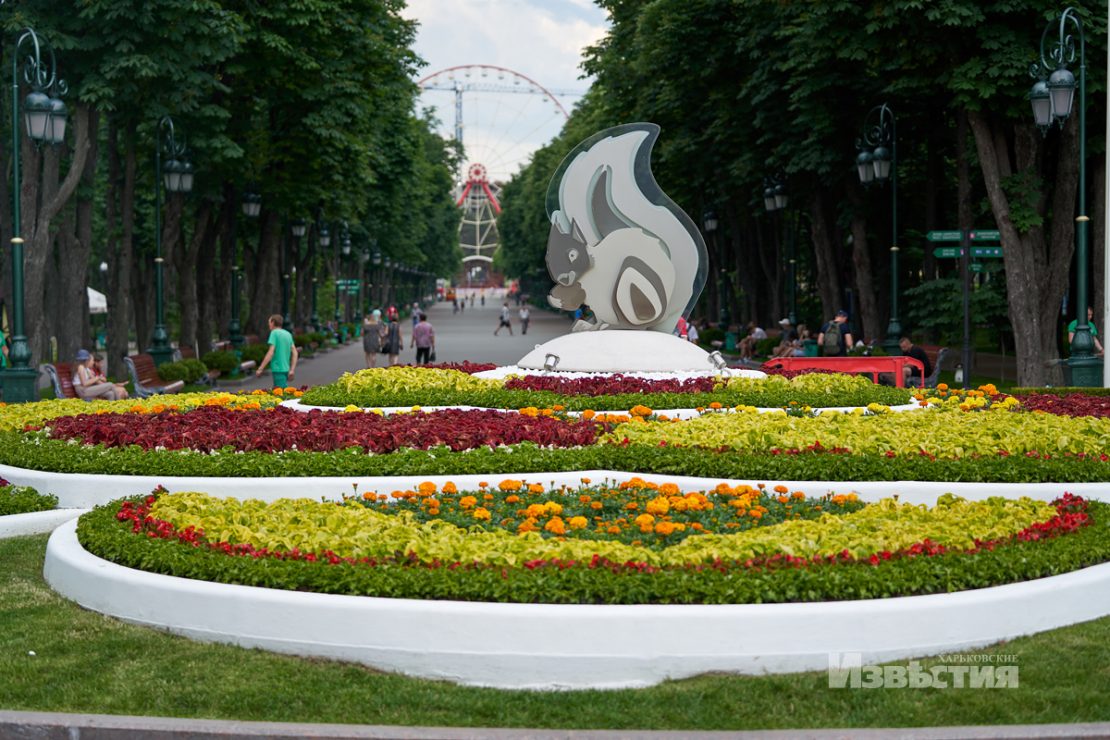 Фотофакт: в парке Горького распустились лотосы фото 13 12