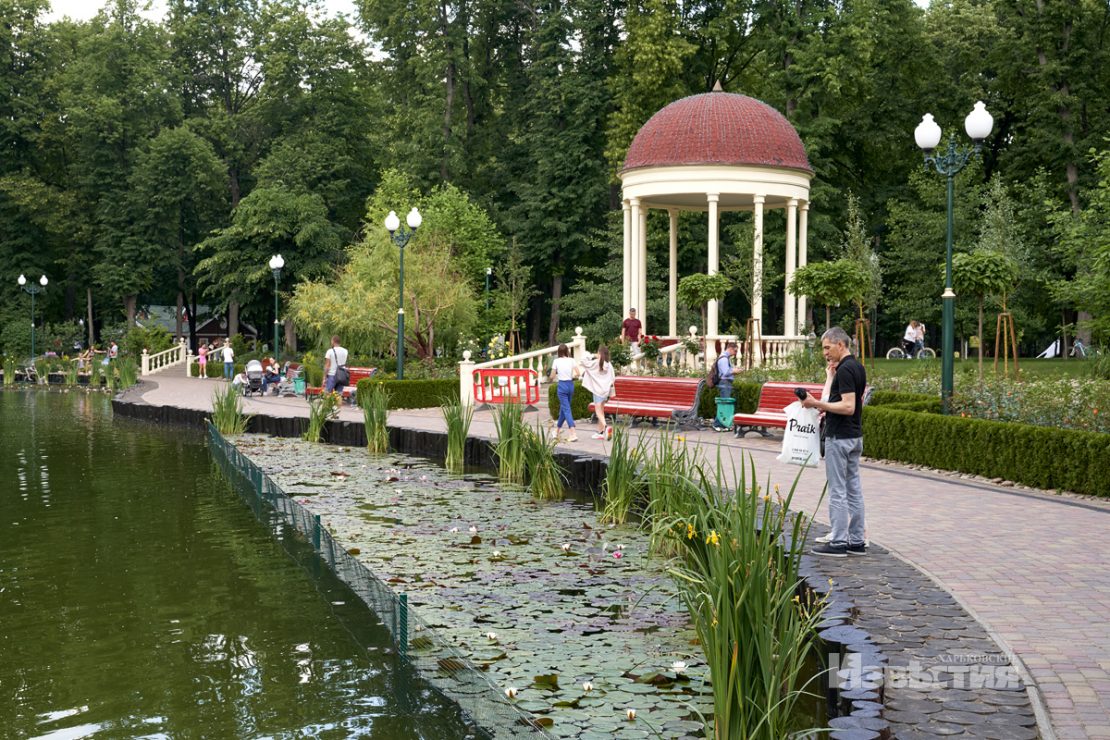 Фотофакт: в парке Горького распустились лотосы фото 1