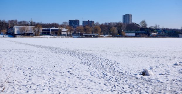 "Зроблять пляжну зону": у Харкові реконструюють Олексіївський лугопарк.