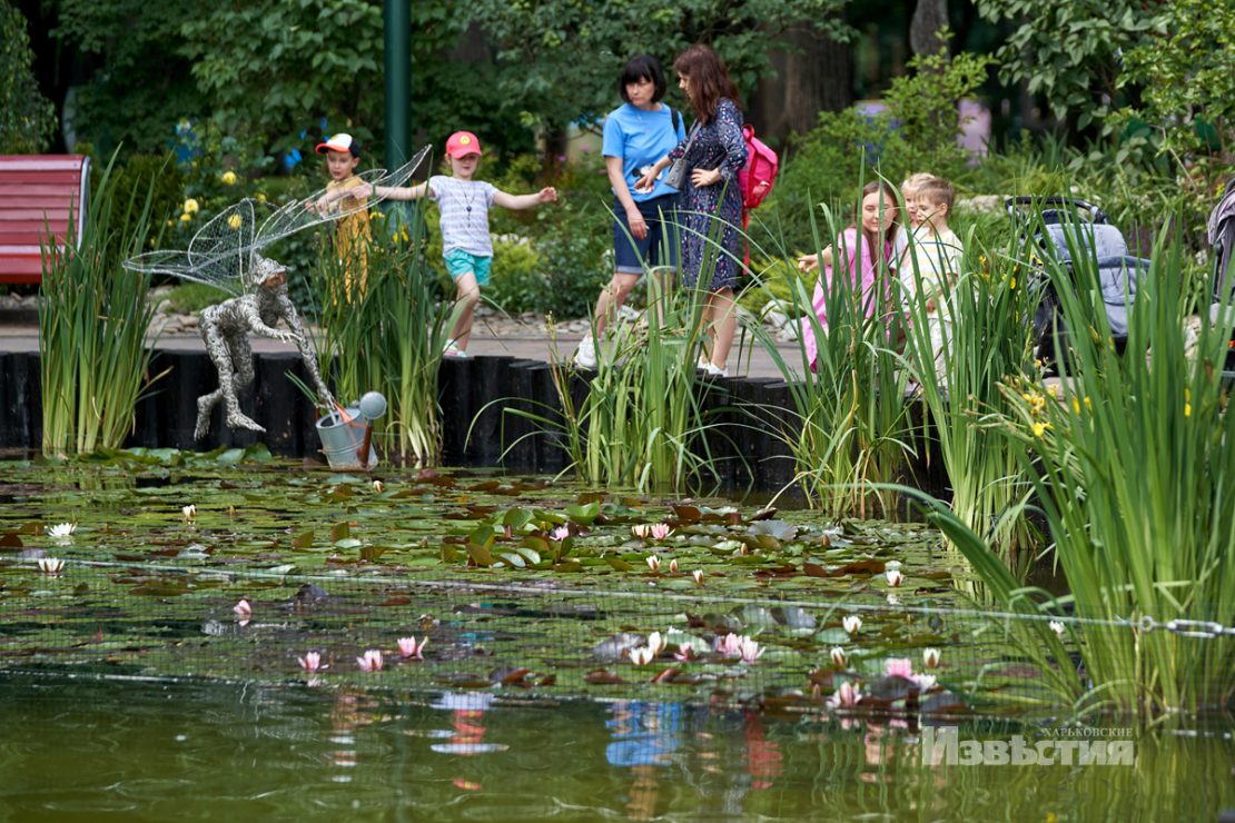 Фотофакт: в парке Горького распустились лотосы фото 2 1