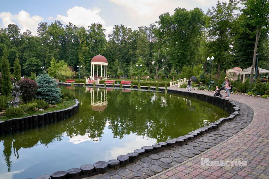 Фотофакт: в парке Горького распустились лотосы фото 3 2