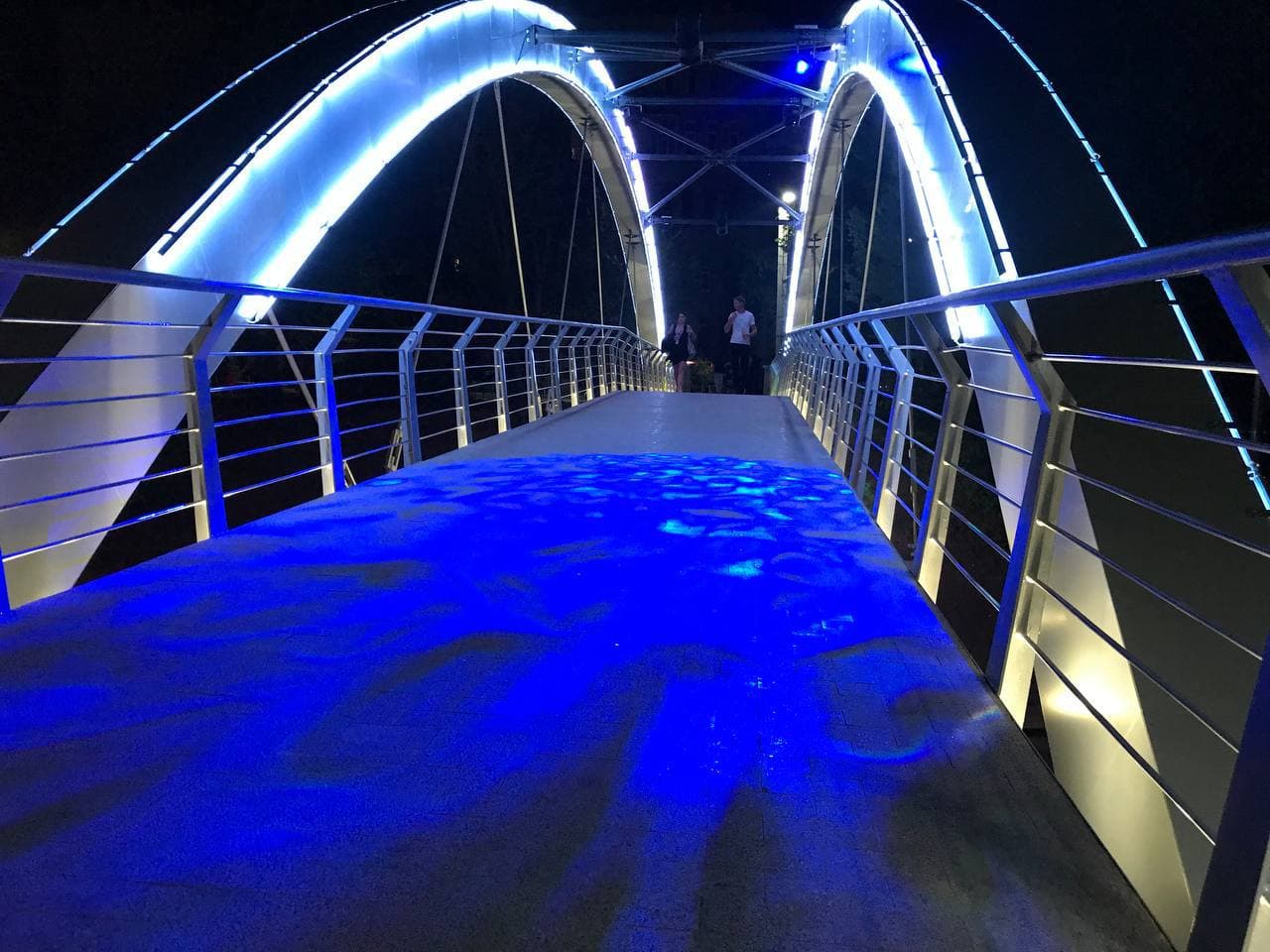 С разноцветной подсветкой: как выглядит обновленный Зоологический мост ночью фото 12 11