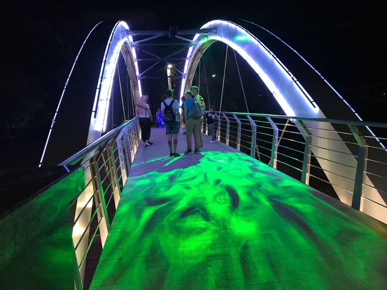 С разноцветной подсветкой: как выглядит обновленный Зоологический мост ночью фото 2 1