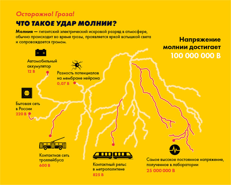 Притянул телефон в кармане: под Харьковом молнией убило мужчину, который вышел в сад фото 1