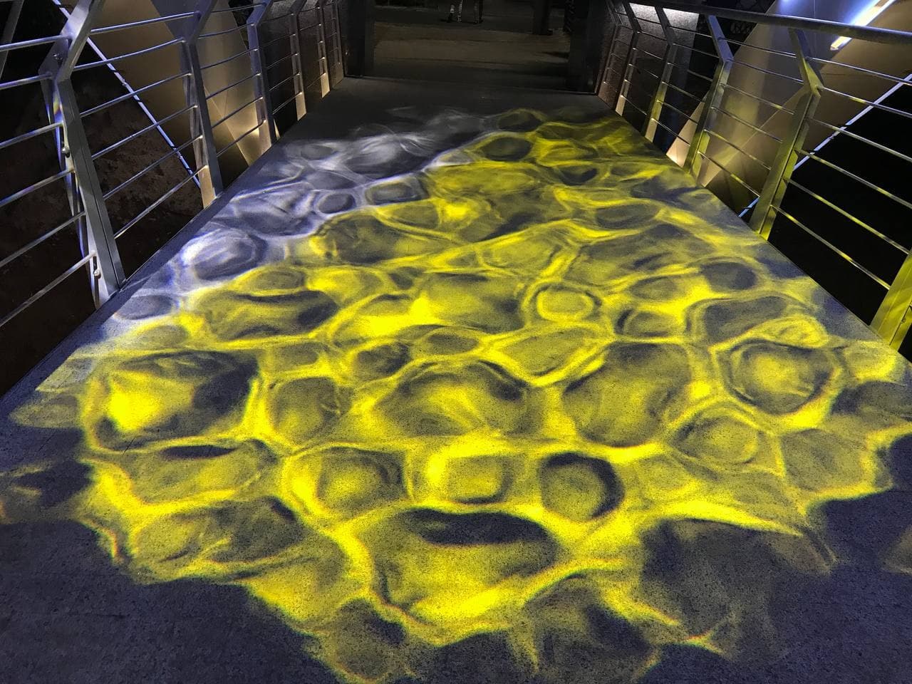 С разноцветной подсветкой: как выглядит обновленный Зоологический мост ночью фото 3 2