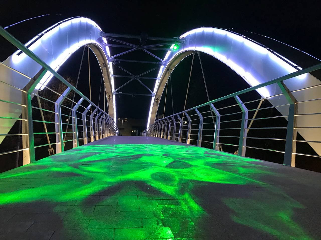 С разноцветной подсветкой: как выглядит обновленный Зоологический мост ночью фото 4 3