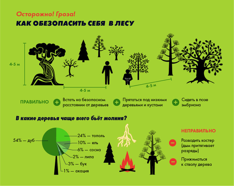 Притянул телефон в кармане: под Харьковом молнией убило мужчину, который вышел в сад фото 2 1