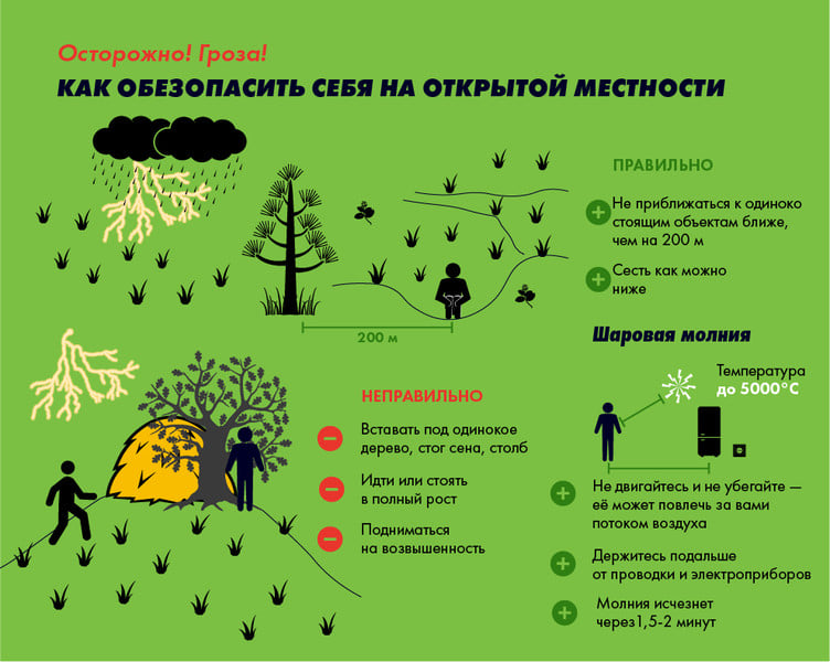 Притянул телефон в кармане: под Харьковом молнией убило мужчину, который вышел в сад фото 4 3