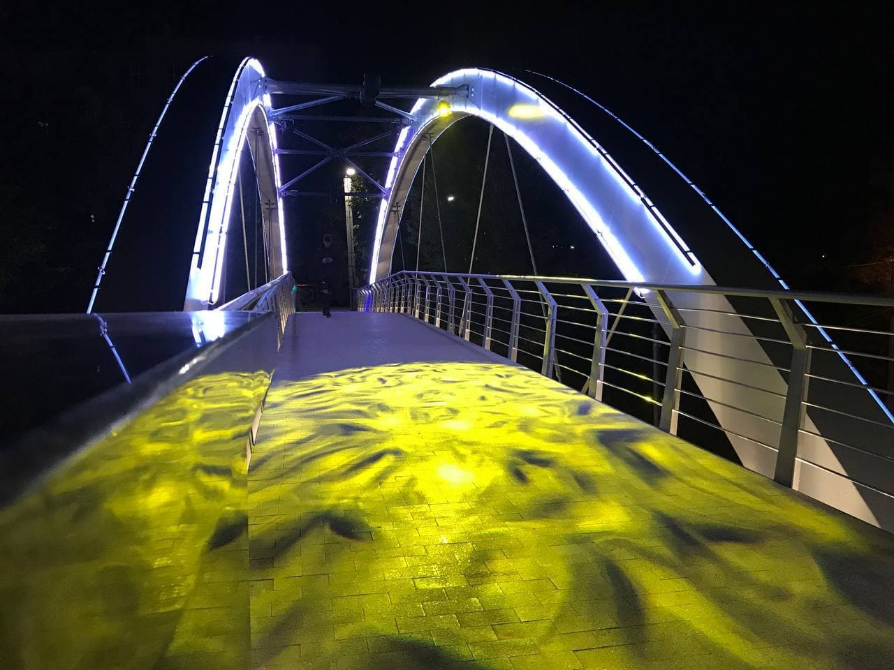 С разноцветной подсветкой: как выглядит обновленный Зоологический мост ночью фото 7 6
