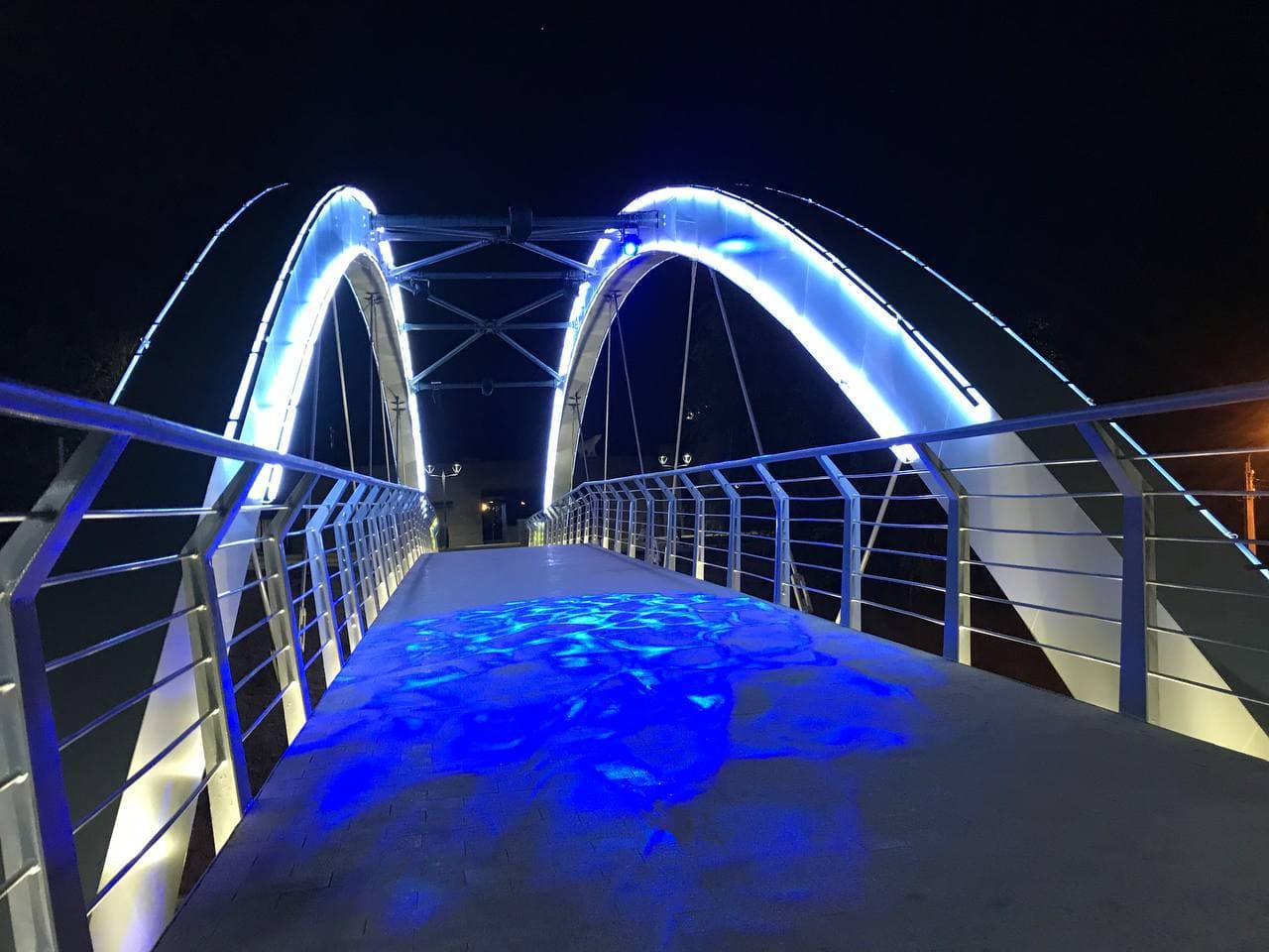 С разноцветной подсветкой: как выглядит обновленный Зоологический мост ночью фото 8 7