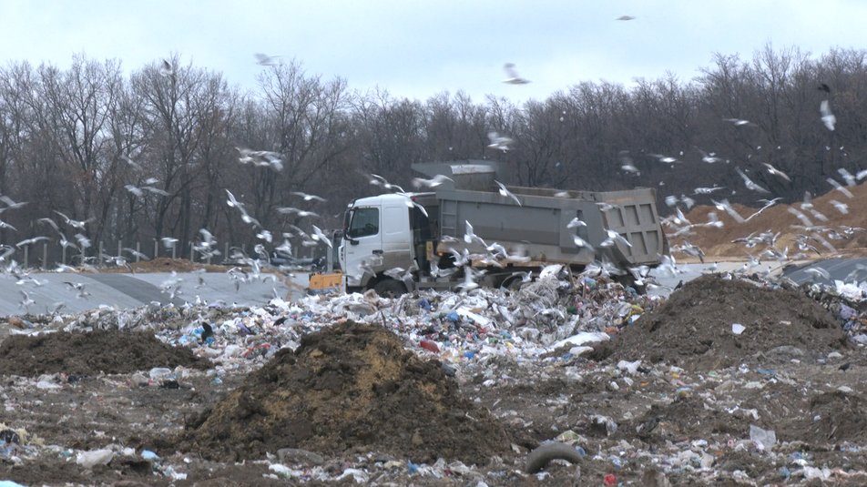 Фото: Суспільне Харків