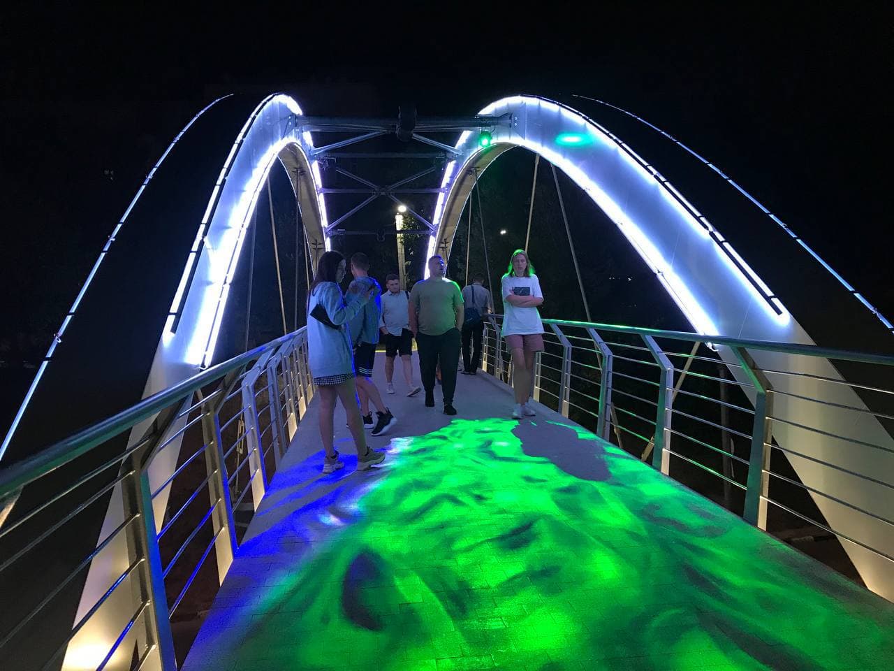 С разноцветной подсветкой: как выглядит обновленный Зоологический мост ночью фото 9 8
