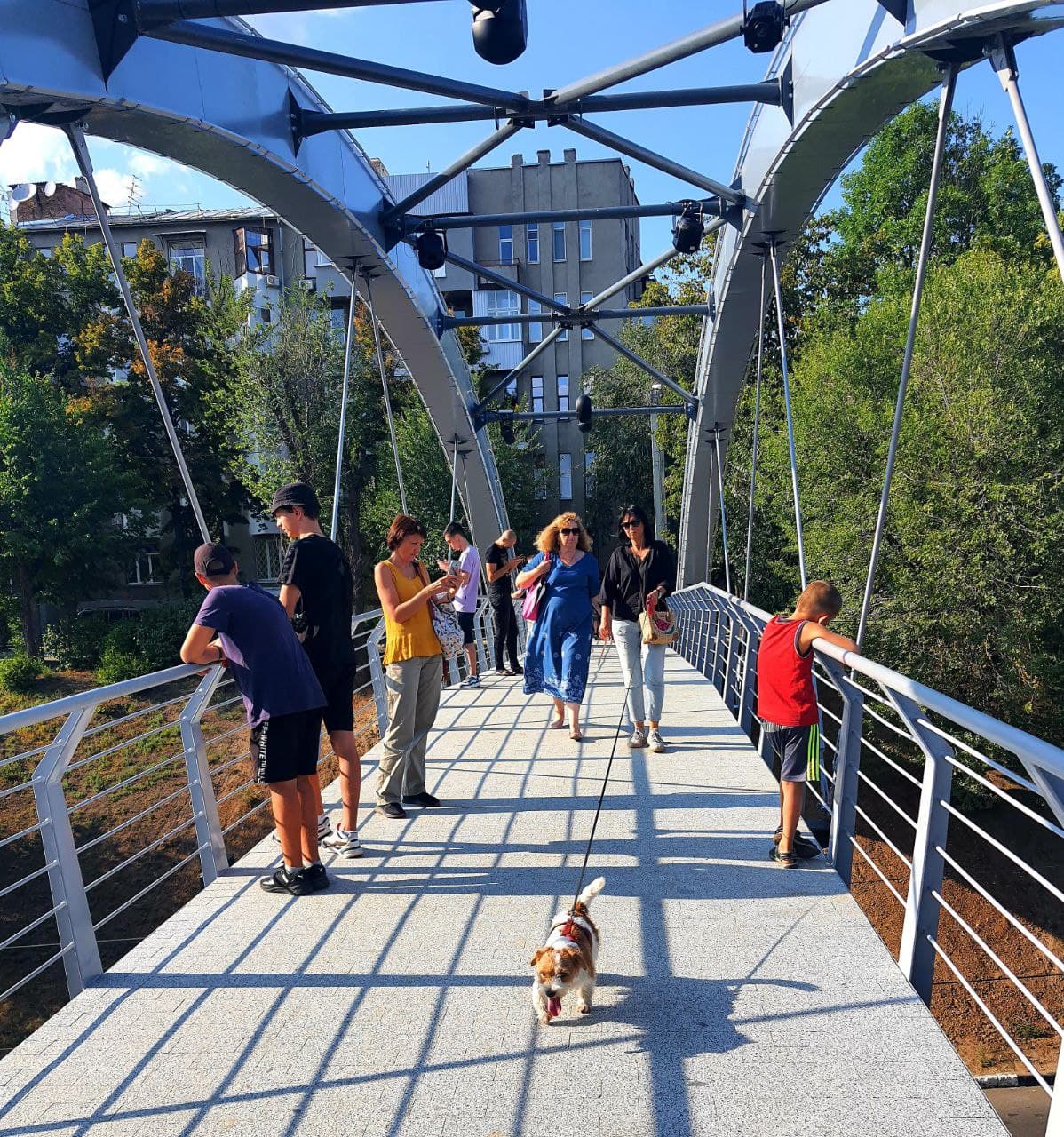 Фотофакт: в Харькове открылся обновленный Зоологический мост фото 3 2